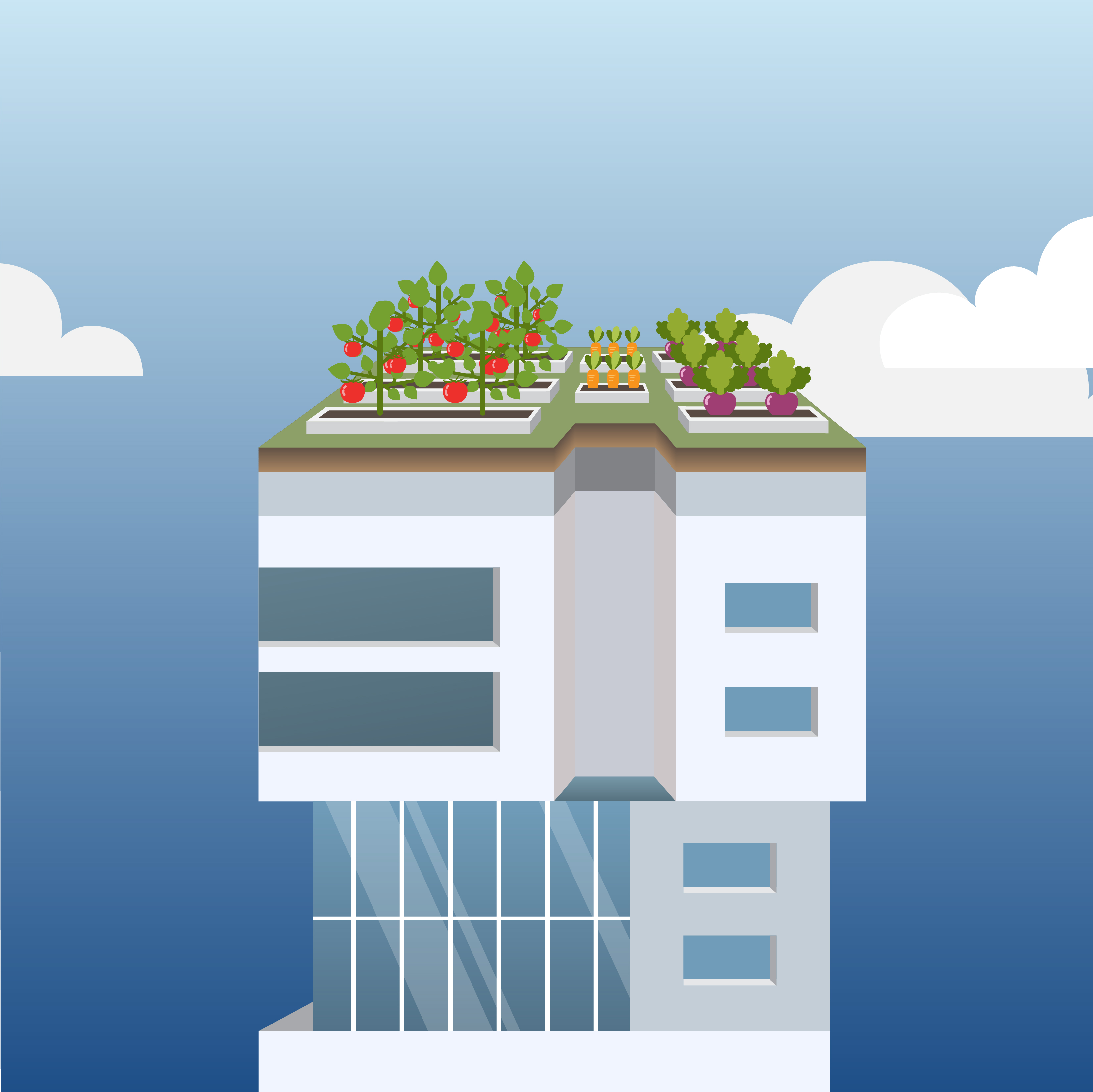 Green Roof Blog 3 Urban Agriculture