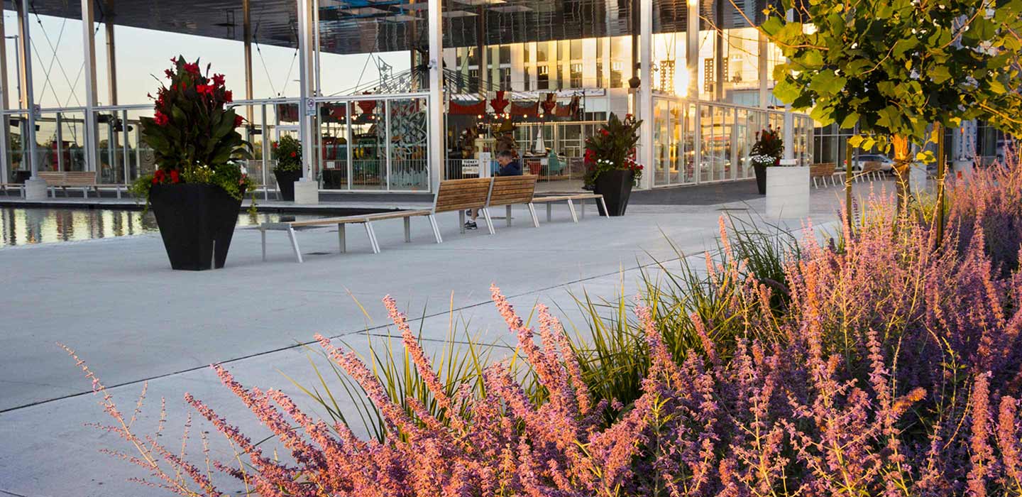 grey concrete deck next to pool with pink flowers in foreground and big glass windows in background