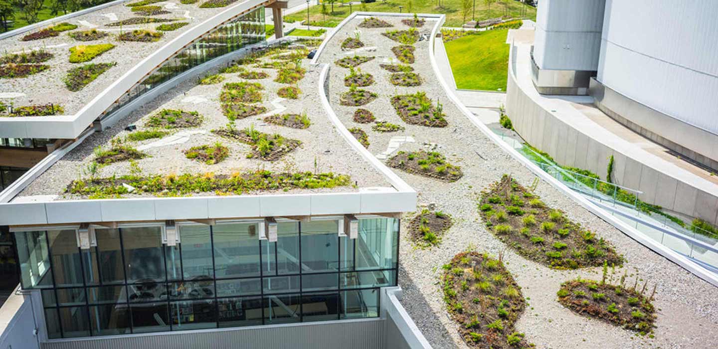 Toronto public library Roof top garden with grey stone sand green garden patches