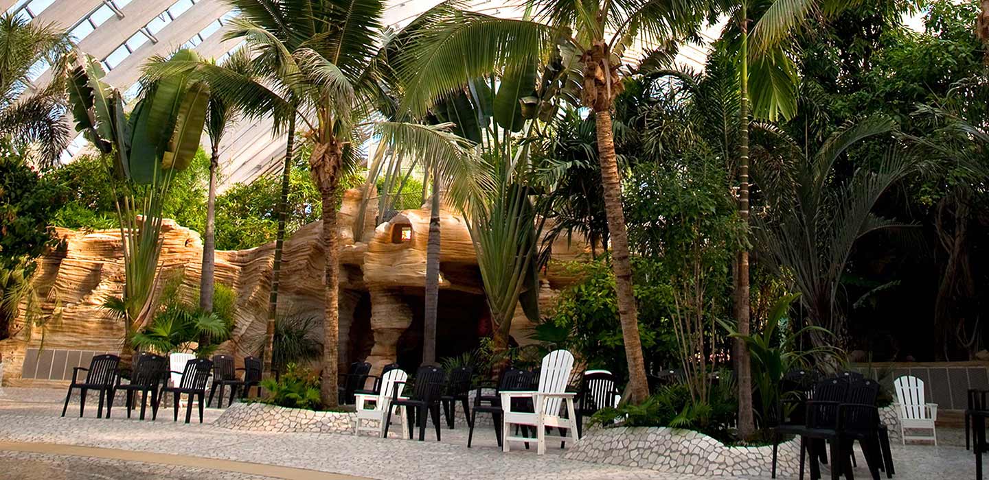 Rock and palm tree themed pool front at the Center Parcs Domaine des Trois Forets
